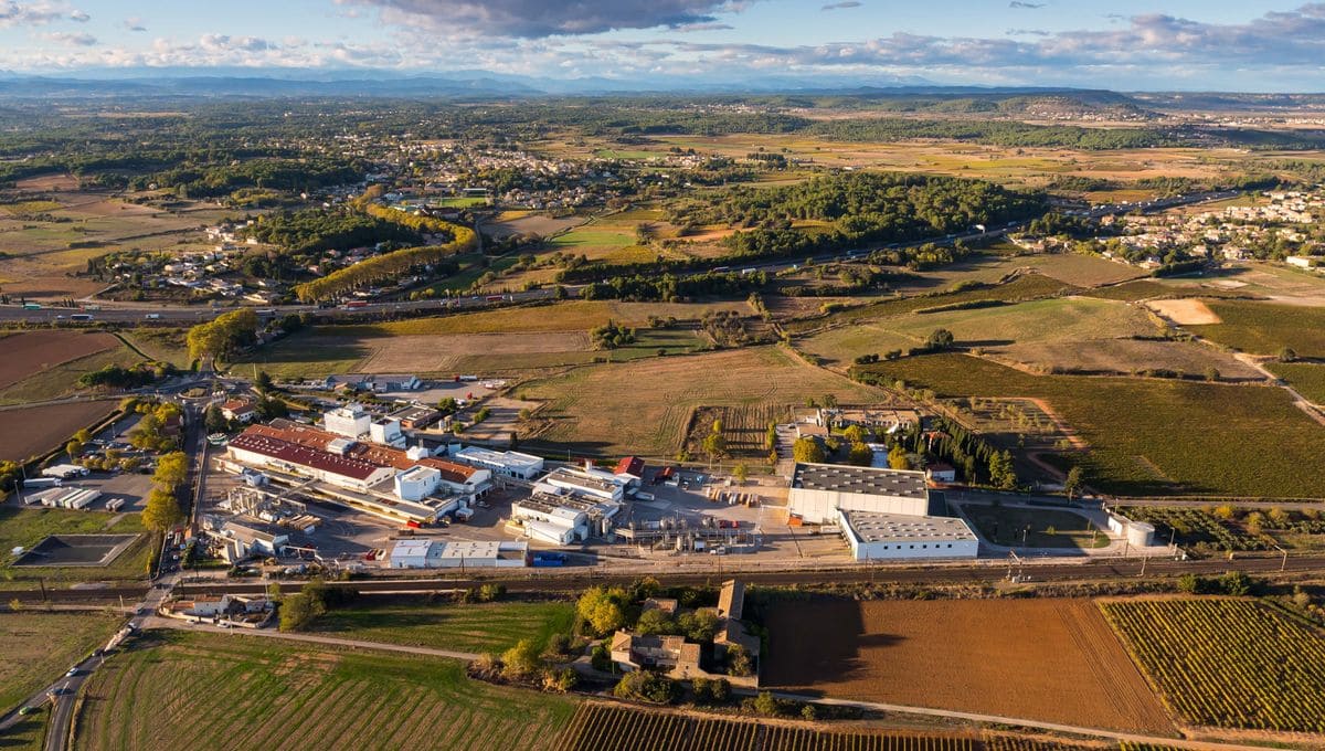 Syngenta Aigues-Vives